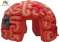 Órganos artificiales de la reproducción inflable del cerebro del gigante los 4m para SGS educativo EN71