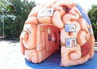 Órganos artificiales de la reproducción inflable del cerebro del gigante los 4m para SGS educativo EN71
